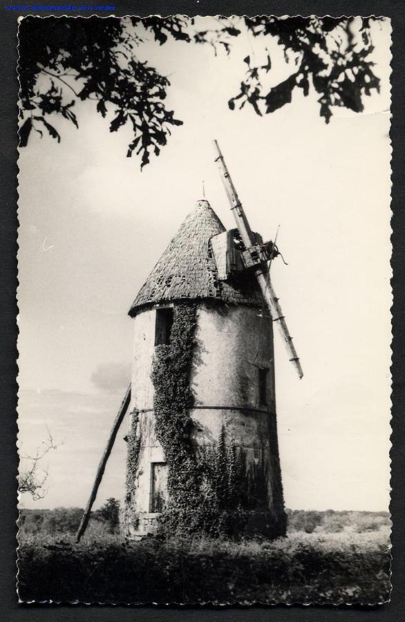 Villa Moulin A Vent Le Champ Du Trail Saint-Cyr-des-Gats Exterior foto